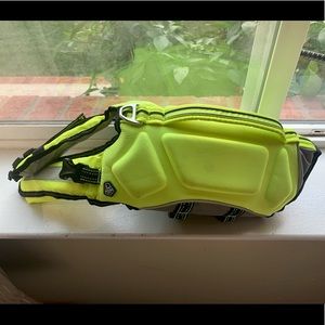 Dog life vest